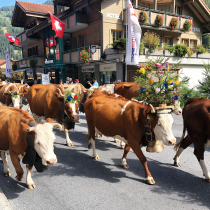 Family Euro Trip – Part 8, Switzerland